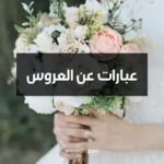 عبارات عن العروس