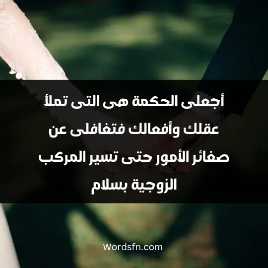 Expressions about the bride1 - فن العبارات أجعلى الحكمة هى التى تملأ عقلك وأفعالك، فتغافلى عن صغائر الأمور حتى تسير المركب الزوجية بسلام