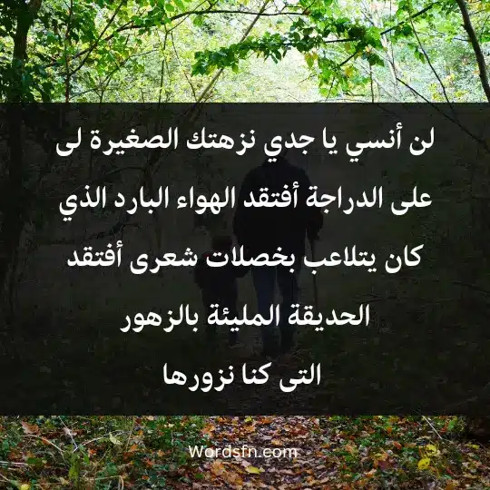 لن أن أنسي يا جدي نزهتك الصغيرة لى على الدراجة أفتقد الهواء البارد الذي كان يتلاعب بخصلات شعرى أفتقد الحديقة المليئة بالزهور التى كنا نزورها