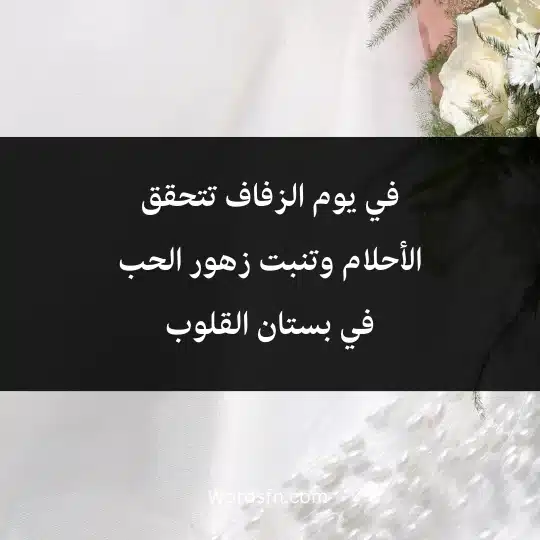 Expressions about wedding 4 - فن العبارات في يوم الزفاف تتحقق الأحلام وتنبت زهور الحب في بستان القلوب