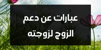 عبارات عن دعم الزوج لزوجته