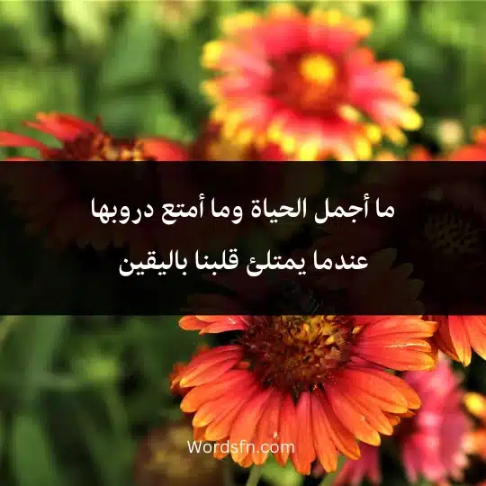 ما أجمل الحياة وما أمتع دروبها عندما يمتلئ قلبنا باليقين