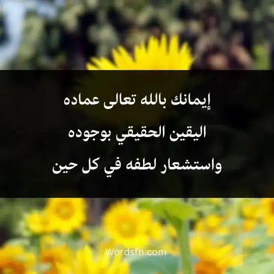 إيمانك بالله تعالى عماده اليقين الحقيقي بوجوده واستشعار لطفه في كل حين