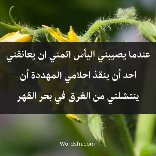 عندما يصيبني اليأس اتمني ان يعانقني احد أن ينقذ احلامي المهددة أن ينتشلني من الغرق في بحر القهر