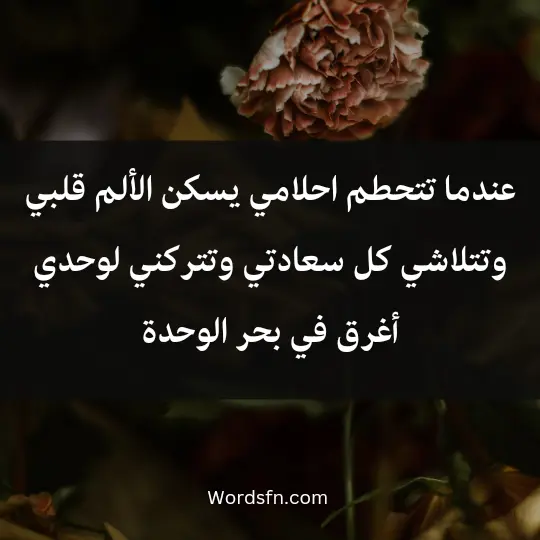 عندما تتحطم احلامي يسكن الألم قلبي وتتلاشي كل سعادتي وتتركني لوحدي أغرق في بحر الوحدة