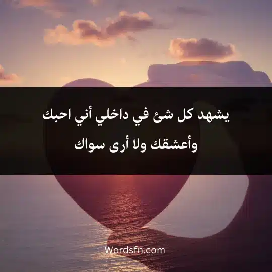 يشهد كل شئ في داخلي أني احبك وأعشقك ولا أرى سواك