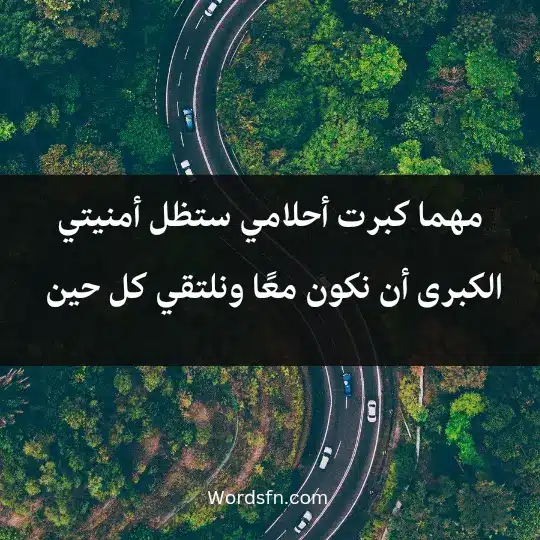 Expressions of love despite distances 2 - فن العبارات مهما كبرت أحلامي ستظل أمنيتي الكبرى أن نكون معًا ونلتقي كل حين ولا نفترق