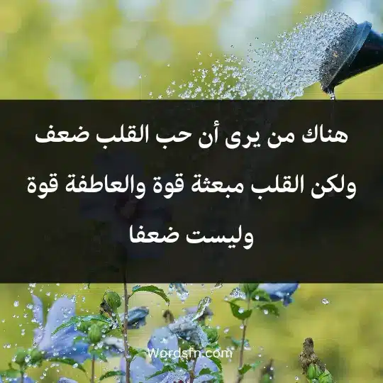 Expressions of strength and courage 3 - فن العبارات هناك من يرى أن حب القلب ضعف، ولكن القلب مبعثة قوة والعاطفة قوة وليست ضعفا