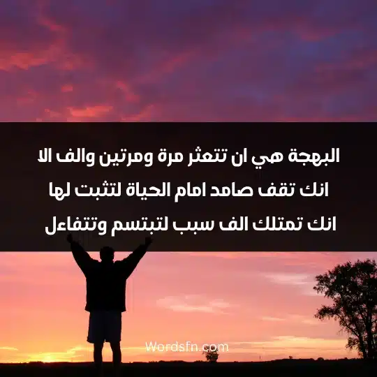 البهجة هي ان تتعثر مرة ومرتين والف الا انك تقف صامد امام الحياة لتثبت لها انك تمتلك الف سبب لتبتسم وتتفاءل 