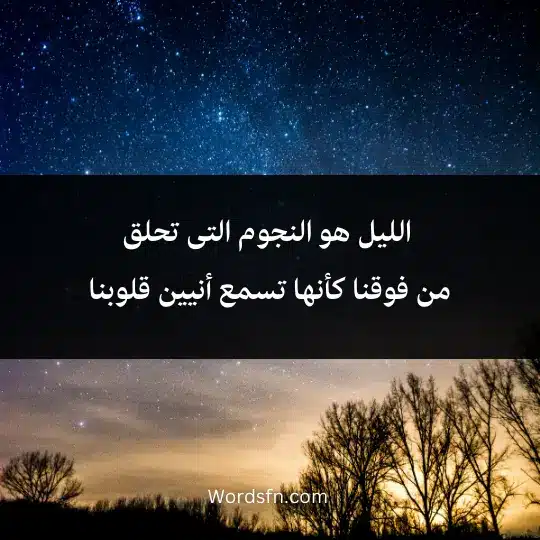  الليل هو النجوم التى تحلق من فوقنا كأنها تسمع أنيين قلوبنا