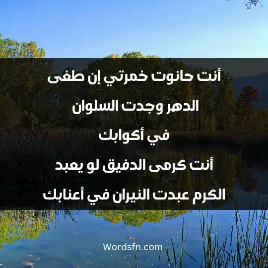 أنت حانوت خمرتي إن طغى الدهر وجدت السلوان في أكوابك أنت كرمى الدفيق لو يعبد الكرم عبدت النيران في أعنابك.