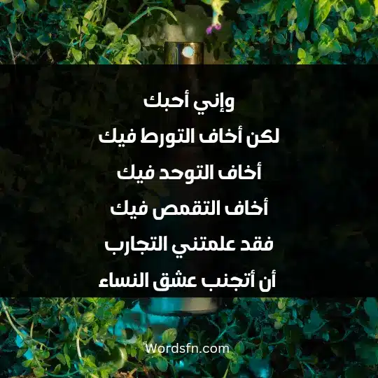 وإني أحبك لكن أخاف التورط فيك، أخاف التوحد فيك، أخاف التقمص فيك، فقد علمتني التجارب أن أتجنب عشق النساء