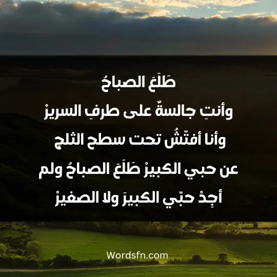 طَلَعَ الصباحُ وأنتِ جالسةٌ على طرفِ السريرْ وأنا أفتّشُ تحت سطح الثلج عن حبي الكبيرْ طَلَعَ الصباحُ ولم أجِدْ حبّي الكبيرَ ولا الصغيرْ