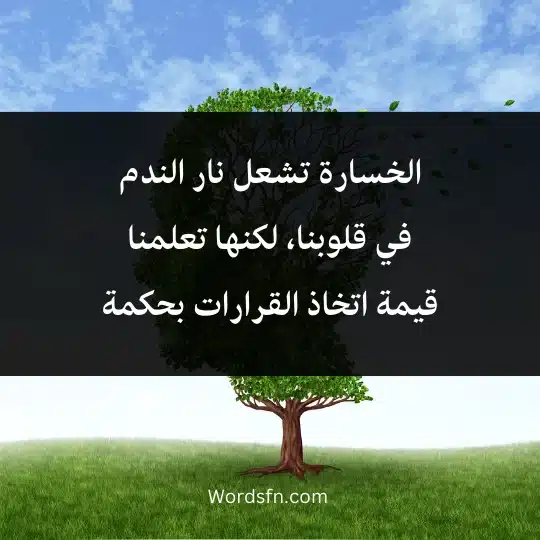 الخسارة تشعل نار الندم في قلوبنا، لكنها تعلمنا قيمة اتخاذ القرارات بحكمة