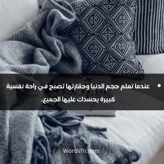 عندما تعلم حجم الدنيا وحقارتها تصبح في راحة نفسية كبيرة يحسدك عليها الجميع.