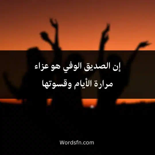 إن الصديق الوفي هو عزاء مرارة الأيام وقسوتها