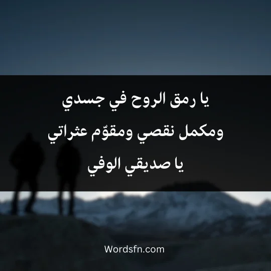 يا رمق الروح في جسدي ومكمل نقصي ومقوّم عثراتي يا صديقي الوفي