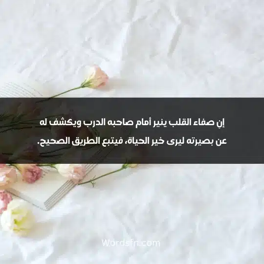 إنِ صفاء القلب ينير أمام صاحبه الدرب ويكشف له عن بصيرته ليرى خير الحياة، فيتبع الطريق الصحيح.