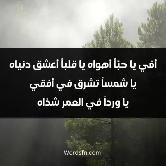 أمّي يا حبّاً أهواه يا قلباً أعشق دنياه يا شمساً تشرق في أفقي يا ورداً في العمر شذاه