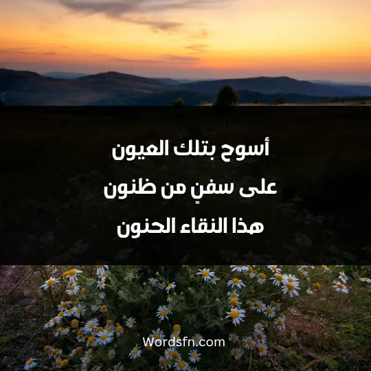 أسوح بتلك العيون على سفنٍ من ظنون هذا النقاء الحنون