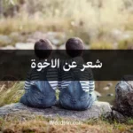 شعر عن الاخوة