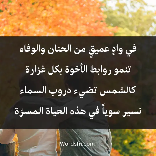 في وادٍ عميقٍ من الحنان والوفاء، تنمو روابط الأخوة بكل غزارة، كالشمس تضيء دروب السماء، نسير سوياً في هذه الحياة المسرّة