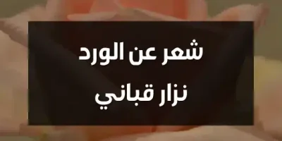 شعر عن الورد نزار قباني