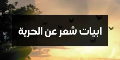 ابيات شعر عن الحرية