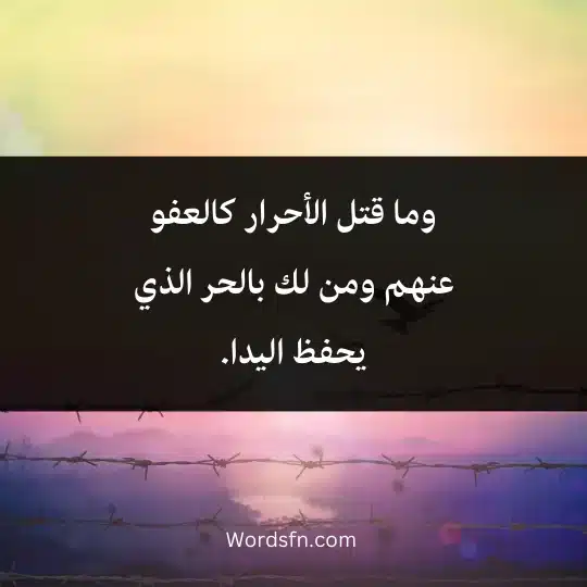 وما قتل الأحرار كالعفو عنهم ومن لك بالحر الذي يحفظ اليدا.