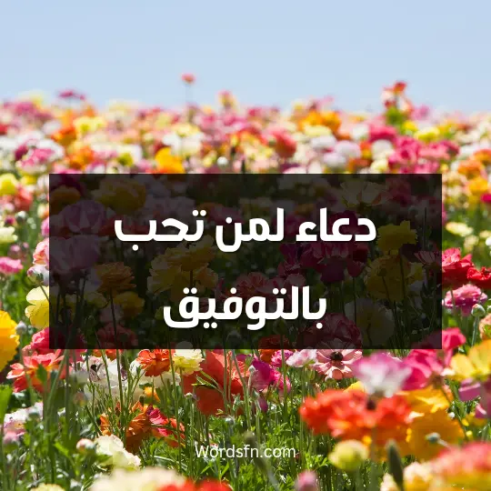 دعاء لمن تحب بالتوفيق