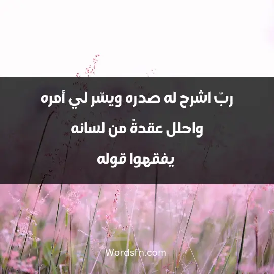 ربّ اشرح له صدره، ويسّر لي أمره واحلل عقدةً من لسانه، يفقهوا قوله