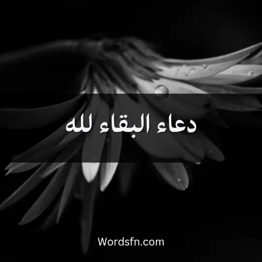 دعاء البقاء لله