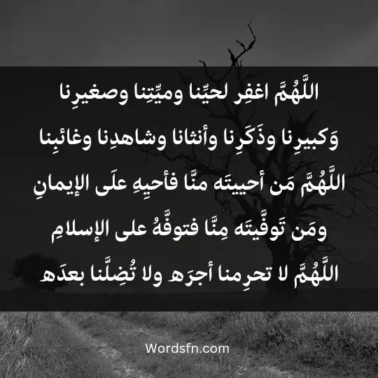 اللَّهُمَّ اغفِر لحيِّنا وميِّتِنا وصغيرِنا وَكبيرِنا وذَكَرِنا وأنثانا وشاهدِنا وغائبِنا اللَّهُمَّ مَن أحييتَه منَّا فأحيِهِ علَى الإيمانِ ومَن تَوفَّيتَه مِنَّا فتوفَّهُ على الإسلامِ اللَّهُمَّ لا تحرِمنا أجرَه ولا تُضِلَّنا بعدَه