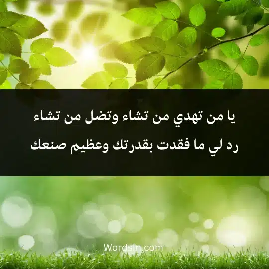 Prayers for someone who has lost something 4 - فن العبارات يا من تهدي من تشاء وتضل من تشاء رد لي ما فقدت بقدرتك وعظيم صنعك