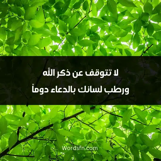 Religious thoughts that comfort the heart 4 - فن العبارات لا تتوقف عن ذكر الله ورطب لسانك بالدعاء دوماً