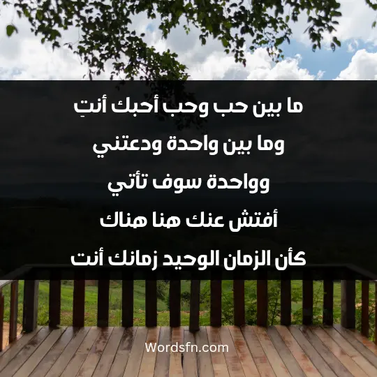 ما بين حب وحب أحبك أنتِ وما بين واحدة ودعتني وواحدة سوف تأتي أفتش عنك هنا.. هناك كأن الزمان الوحيد زمانك أنت