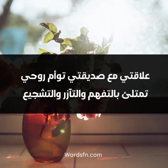 علاقتي مع صديقتي توأم روحي تمتلئ بالتفهم والتآزر والتشجيع.