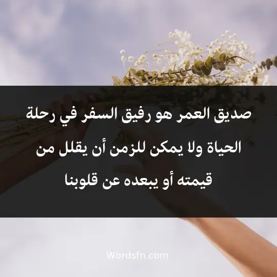 صديق العمر هو رفيق السفر في رحلة الحياة، ولا يمكن للزمن أن يقلل من قيمته أو يبعده عن قلوبنا