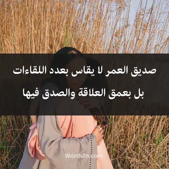 صديق العمر لا يقاس بعدد اللقاءات، بل بعمق العلاقة والصدق فيها