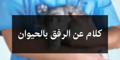 كلام عن الرفق بالحيوان