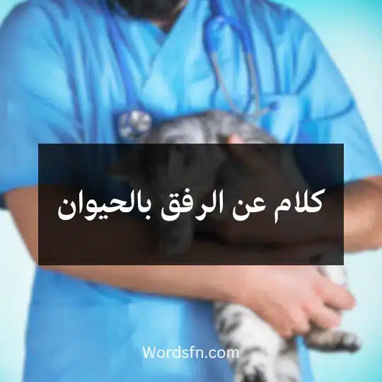 كلام عن الرفق بالحيوان