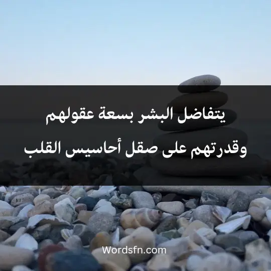 يتفاضل البشر بسعة عقولهم وقدرتهم على صقل أحاسيس القلب.