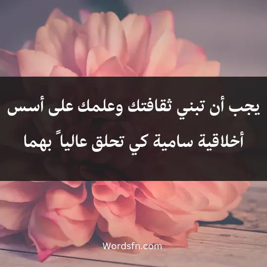 يجب أن تبني ثقافتك وعلمك على أسس أخلاقية سامية كي تحلق عاليا ً بهما