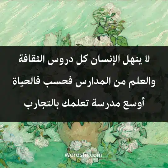 لا ينهل الإنسان كل دروس الثقافة والعلم من المدارس فحسب، فالحياة أوسع مدرسة تعلمك بالتجارب