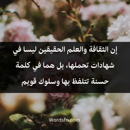 إن الثقافة والعلم الحقيقين ليسا في شهادات تحملها، بل هما في كلمة حسنة تتلفظ بها وسلوك قويم
