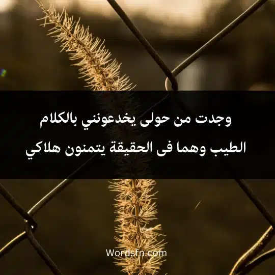 وجدت من حولى يخدعونني بالكلام الطيب وهما فى الحقيقة يتمنون هلاكي