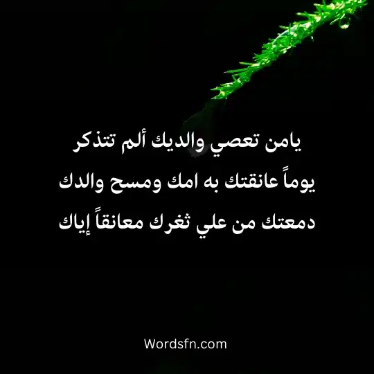 يامن تعصي والديك ألم تتذكر يوماً عانقتك به امك ومسح والدك دمعتك من علي ثغرك معانقاً إياك