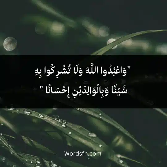  "وَاعْبُدُوا اللَّهَ وَلَا تُشْرِكُوا بِهِ شَيْئًا وَبِالْوَالِدَيْنِ إِحْسَانًا "