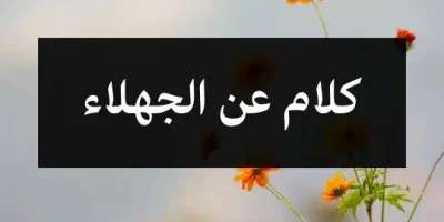كلام عن الجهلاء