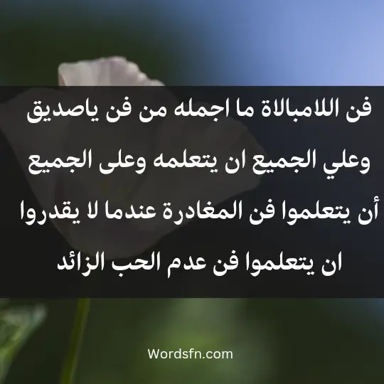 Talk about peace of mind3 - فن العبارات فن اللامبالاة ما اجمله من فن ياصديق وعلي الجميع ان يتعلمه وعلى الجميع أن يتعلموا فن المغادرة ... عندما لا يقدروا ان يتعلموا فن عدم الحب الزائد